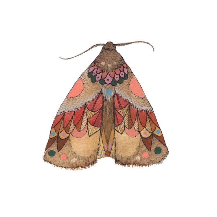 Moth 2 Print - 5x7 Framed