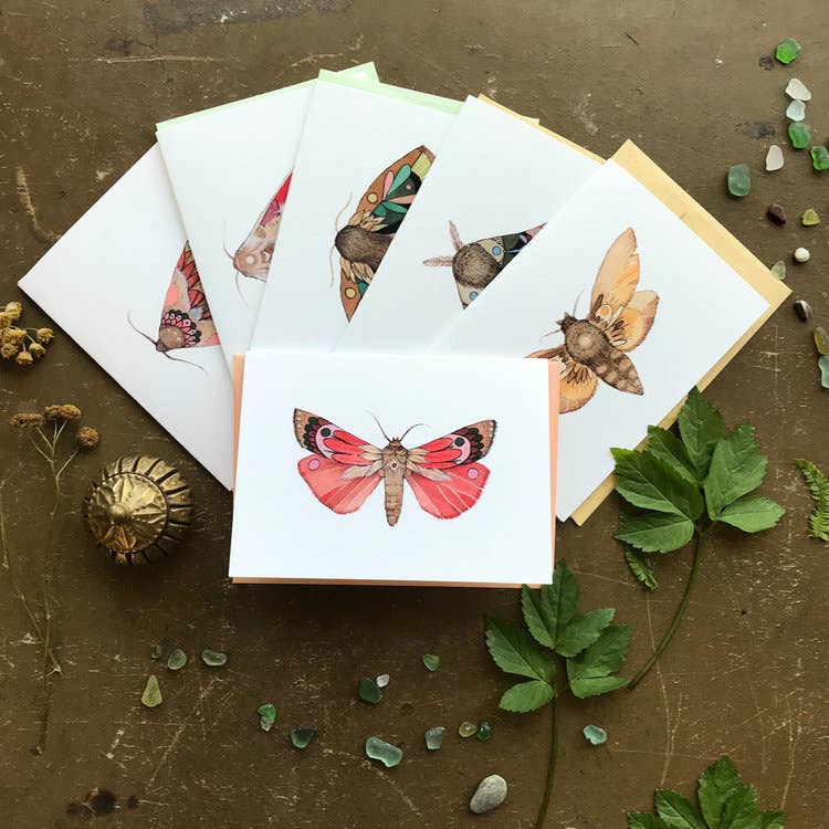 Moths Small Card Pack