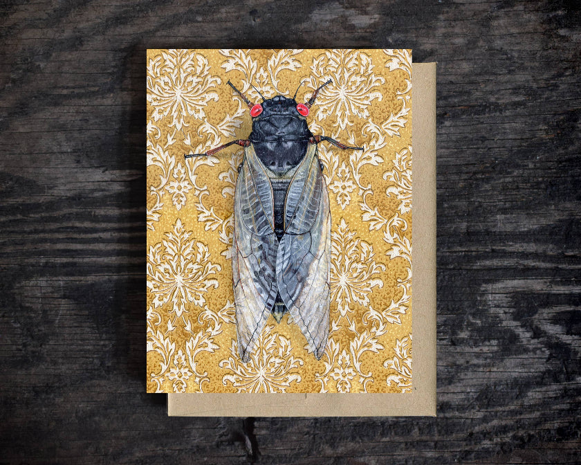 17-year Cicada -  Note Card