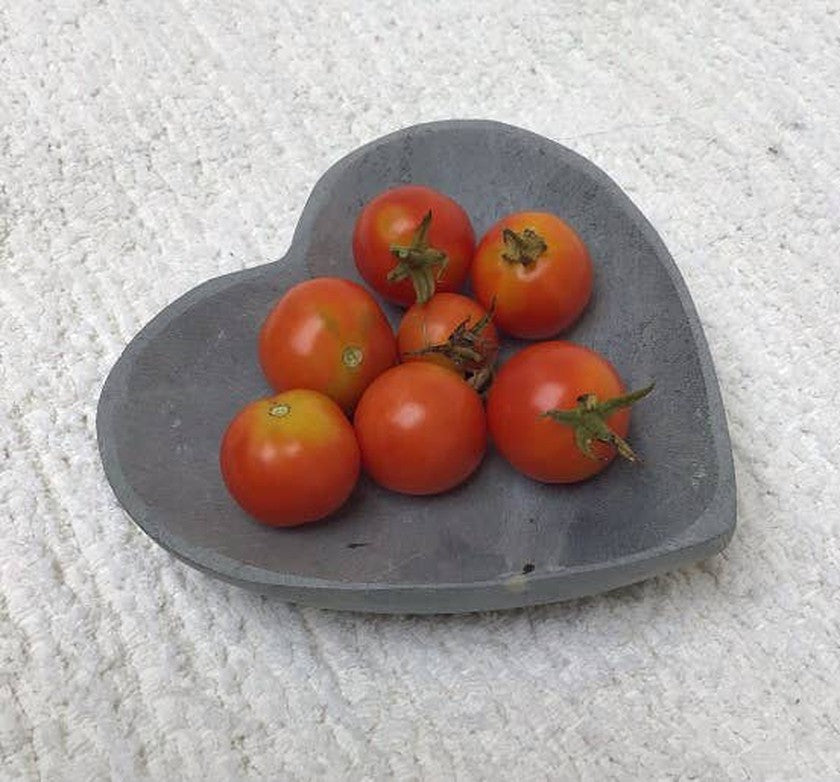 Soapstone Grey Heart Soap Dish