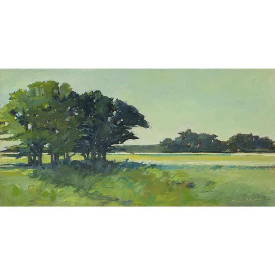 Trees at Hancock Field -Oil Painting 12x24