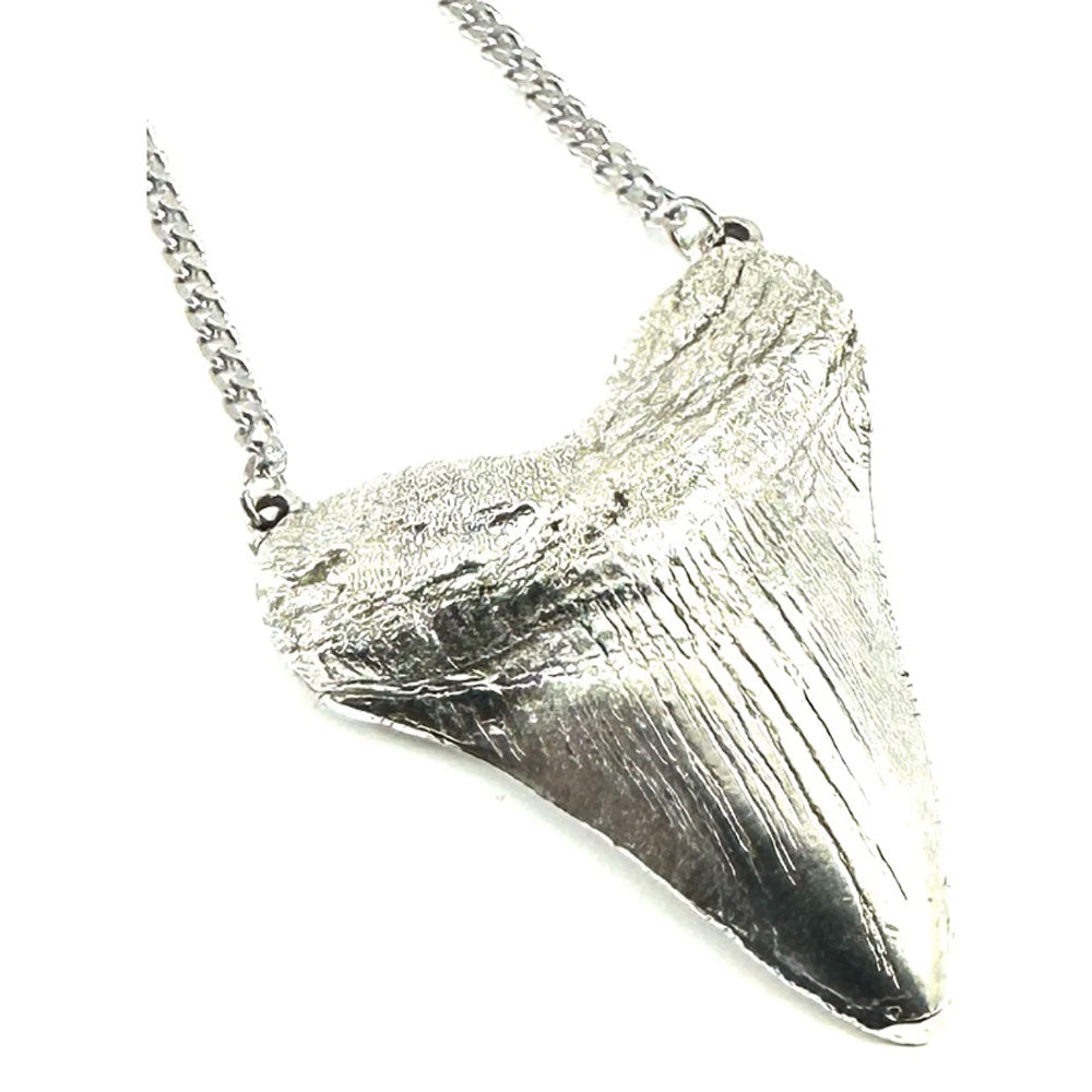 Silver shark tooth necklace on a white background