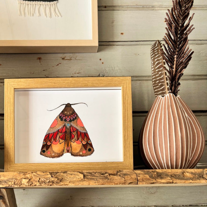 Moth 2 Print - 5x7 Framed