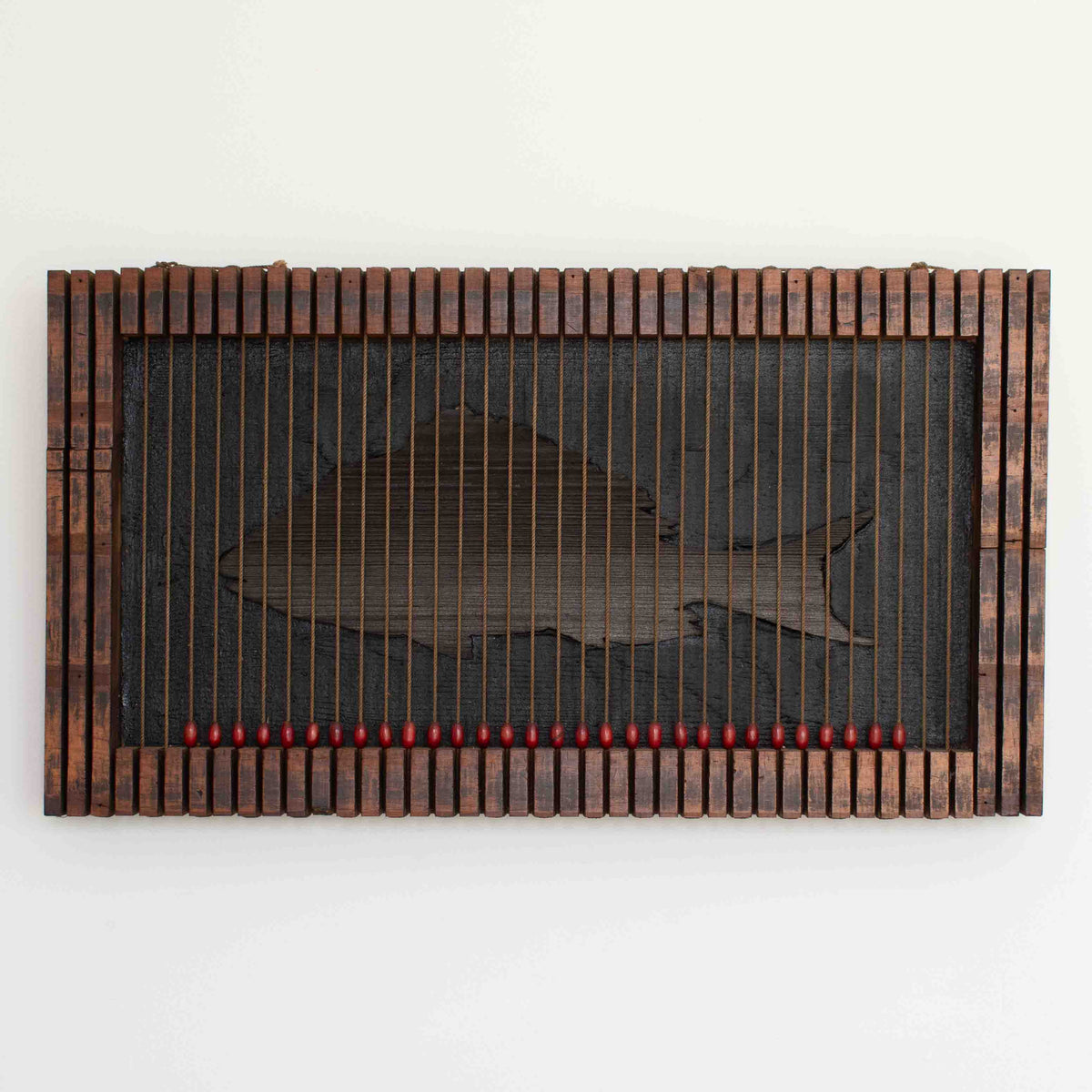 Black Snapper