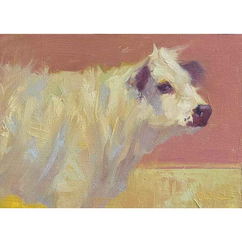 cow painting by Susan Williamson