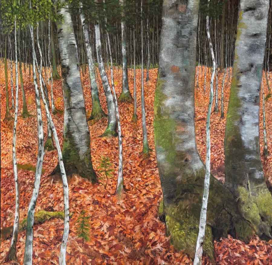 Forest scene with birch trees and orange autumn leaves on the ground