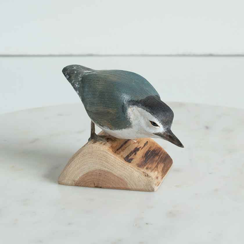 White Breasted Nuthatch