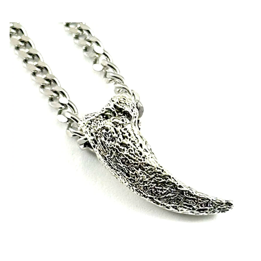 Fossilized Turtle Claw Necklace