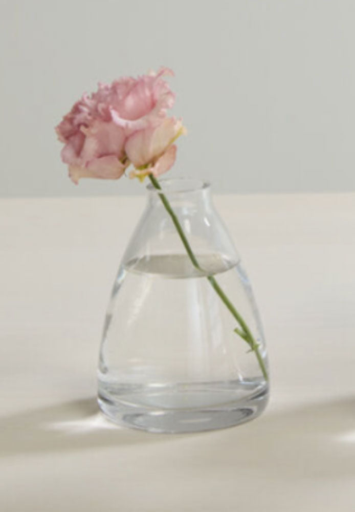 Clear glass vase with a single pink flower on a light background