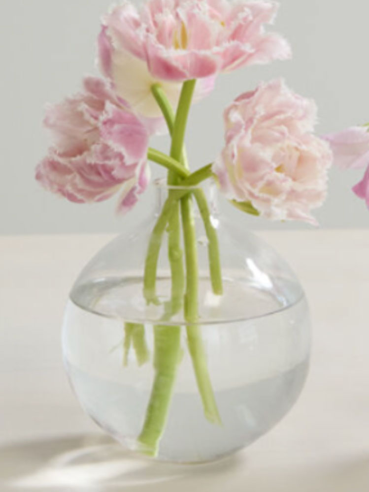Clear glass vase with pink tulips on a light background