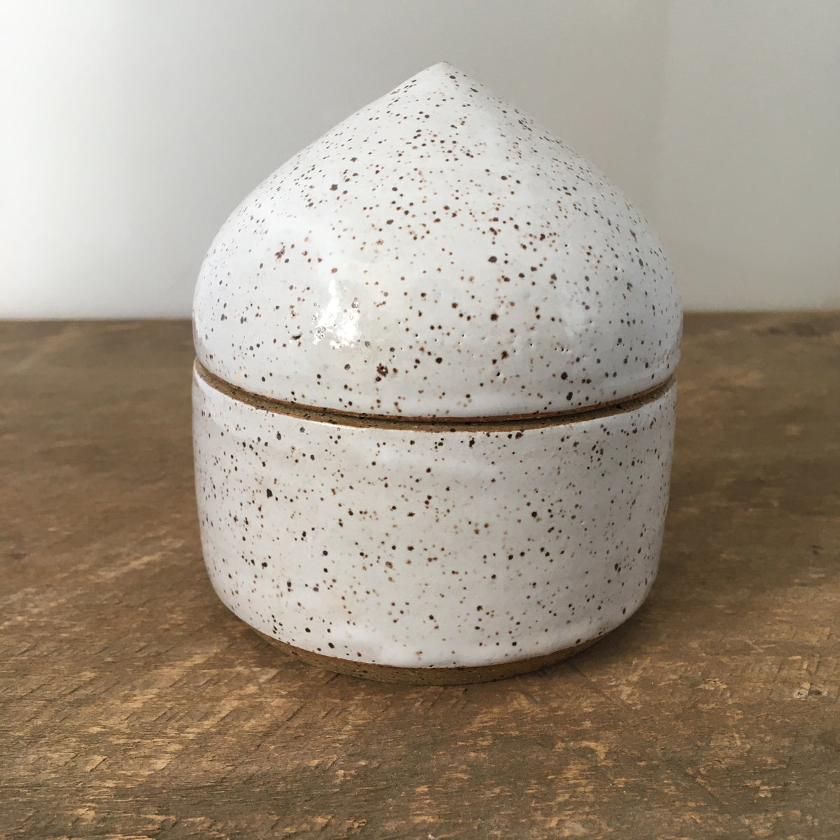 Ceramic Salt Cellar Box