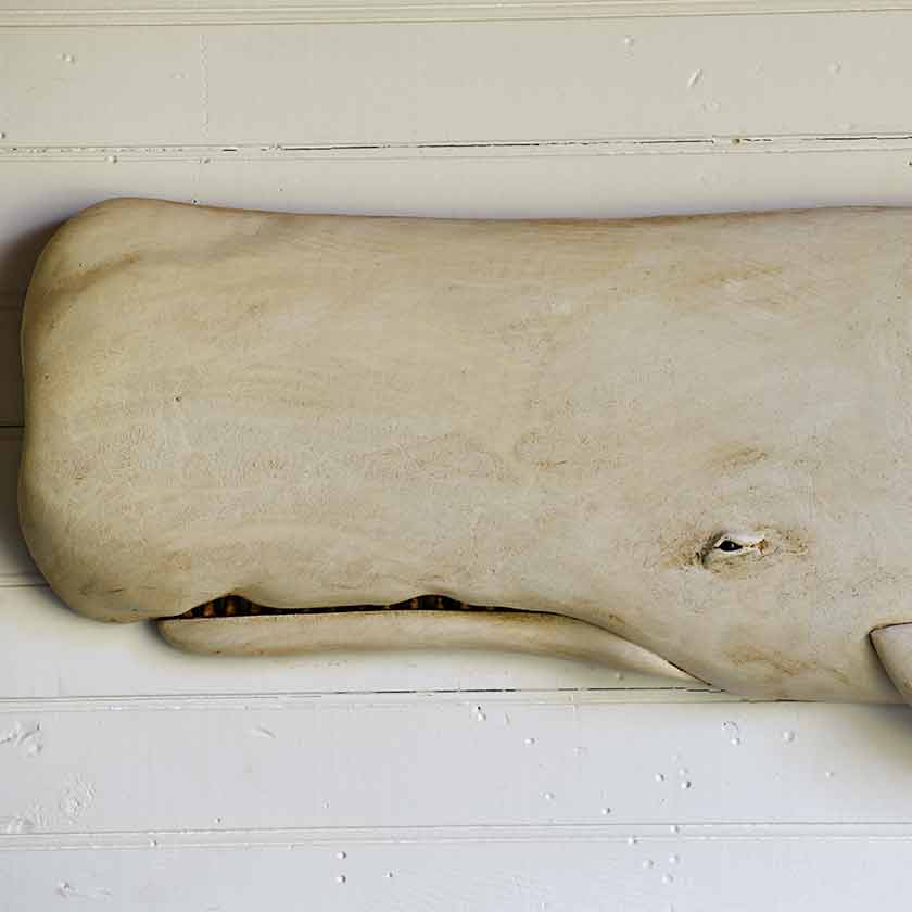 Moby Whale Wall Plaque-XL