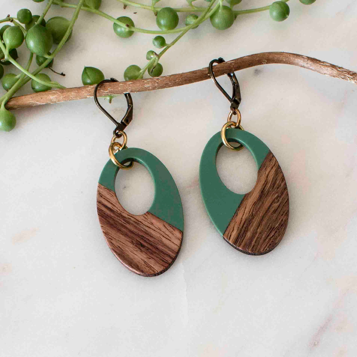 Resin &amp; Wood Oval Earrings