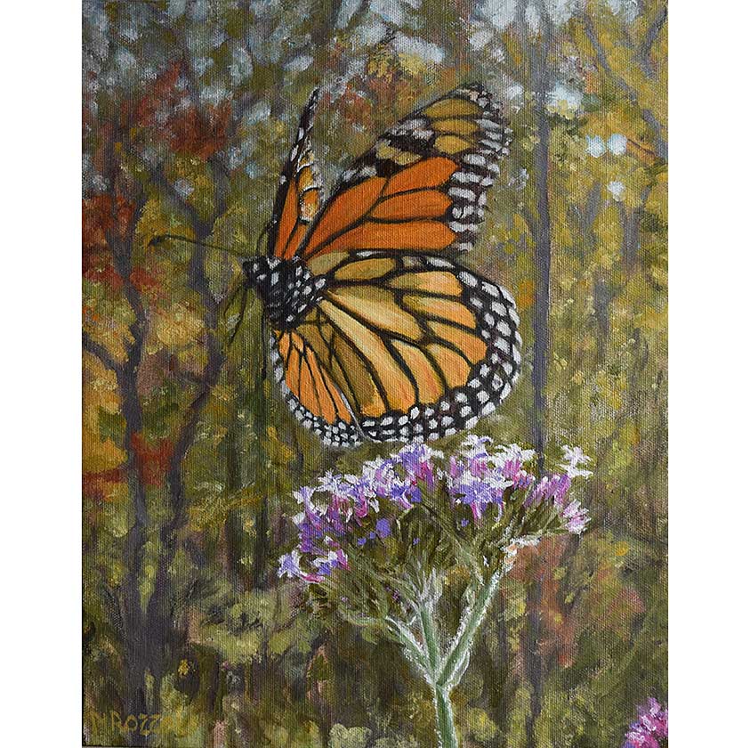 Monarch Butterfly-Oil Painting 14x11