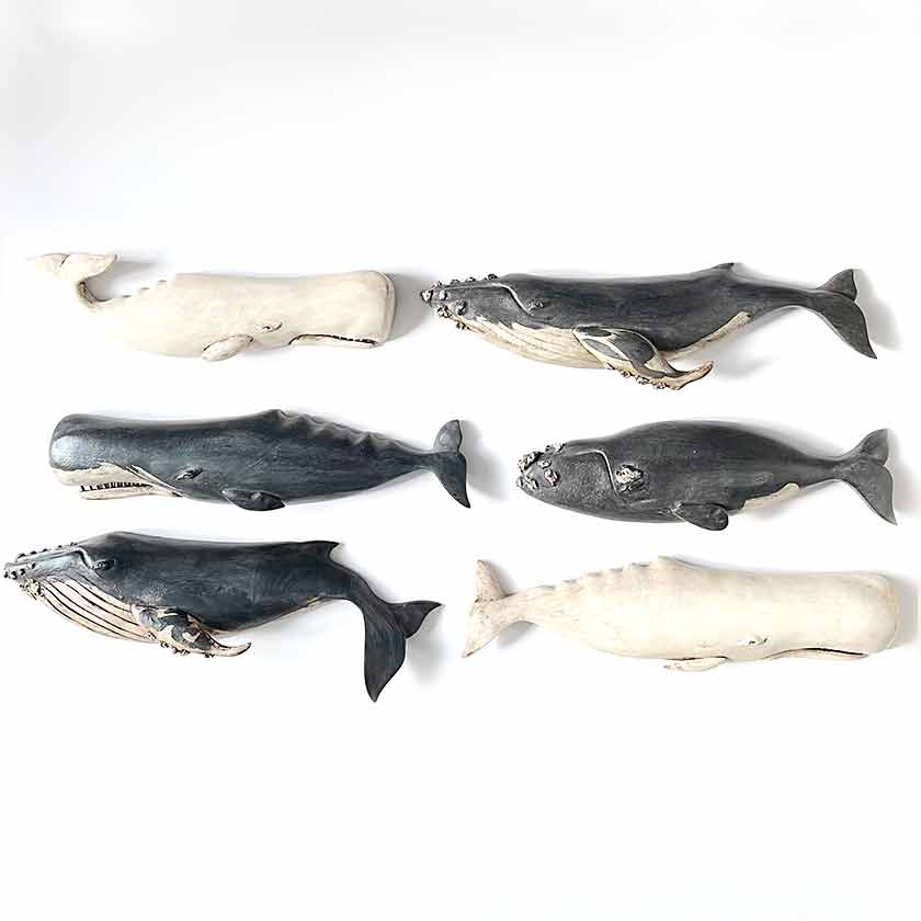 Carved wooden whale wall plaques by Wendy Lichtensteiger 