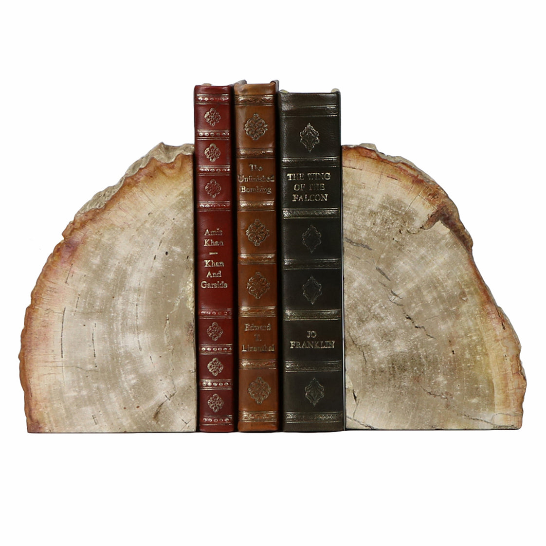 Petrified Bookend Pair